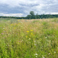 24-07-03 13-59-54 0158